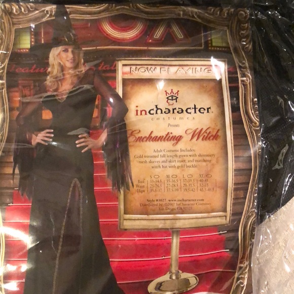 Enchanting Witch Costume - Picture 1 of 5